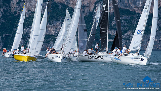 Dolphin day a Gargnano