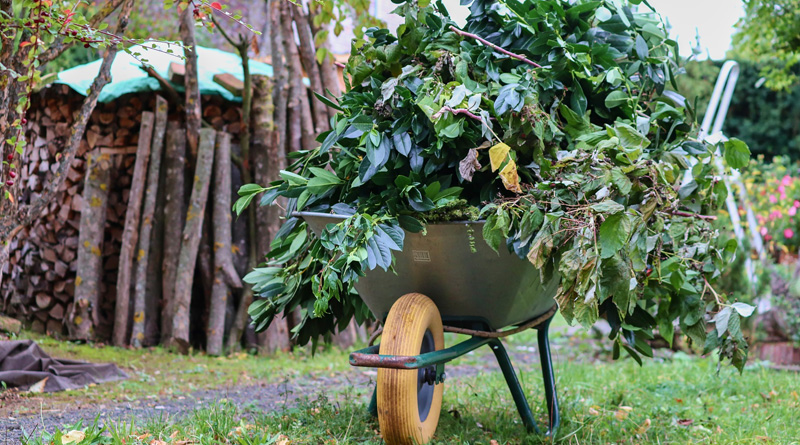 Incontri di presentazione della nuova modalità di raccolta a domicilio sfalci e potature nella zona azzurra