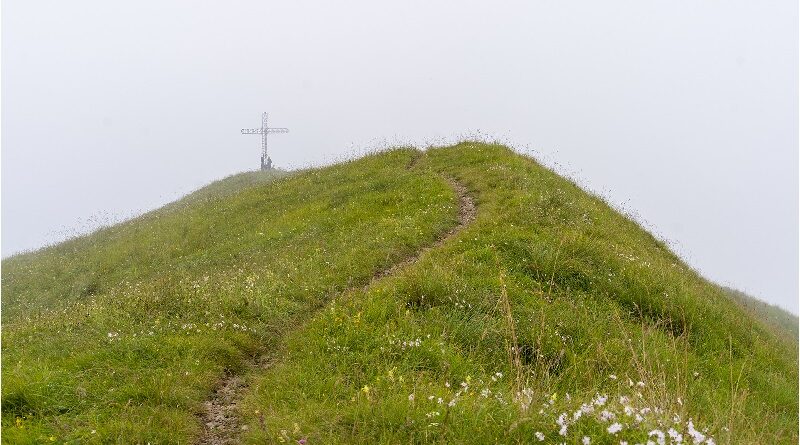 Contro la realizzazione di una nuova strada agro-silvo-pastorale sul monte Ario in Comune di Marmentino