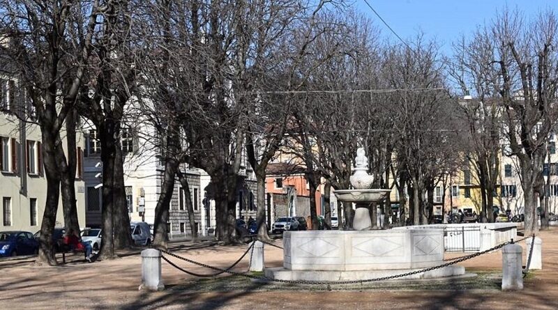 Rinnovo delle alberate nel quartiere di Brescia Antica