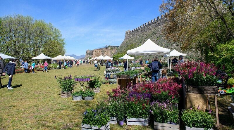 Lonato del Garda: Grande successo per la XVI edizione di FIORInellaROCCA