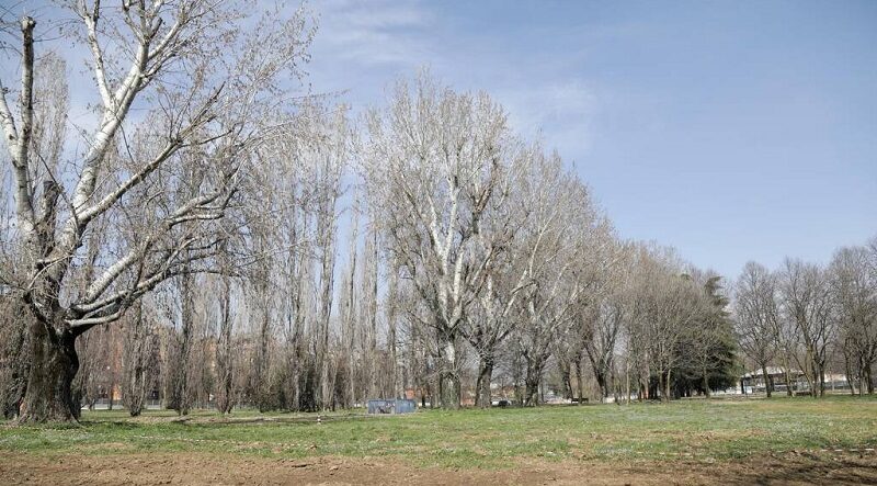 Parco di via Livorno: da lunedì 22 aprile al via i lavori di bonifica. Interdetto l'accesso alla zona est
